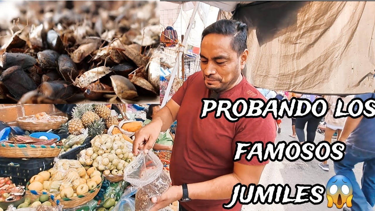 probando los famosos JUMILES !! visitando el mercado municipal de IGUALA GUERRERO 😍