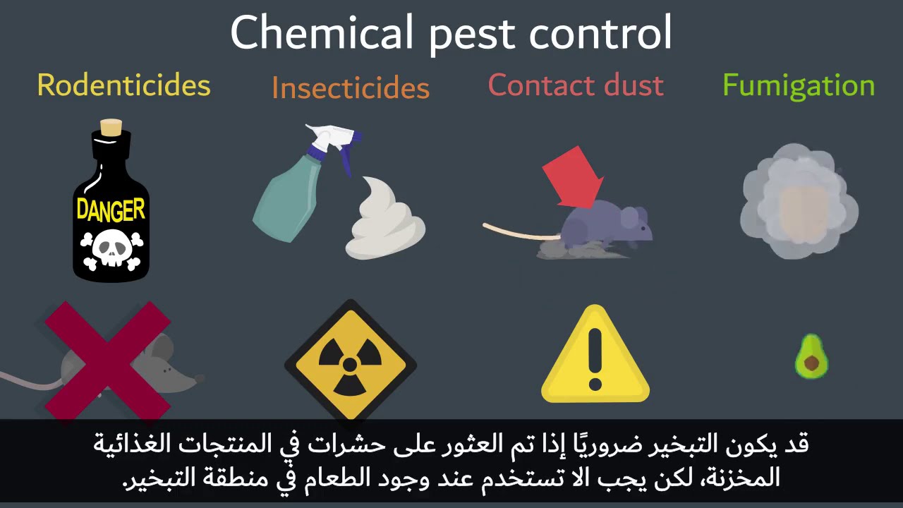 Pest Control (With Arabic Subtitles)