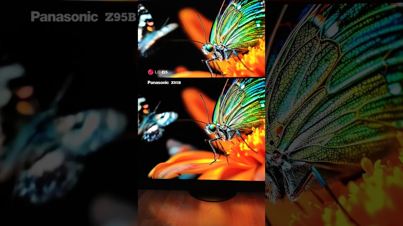 LG G5 VS PANASONIC Z95B Tandem Oled Battle!