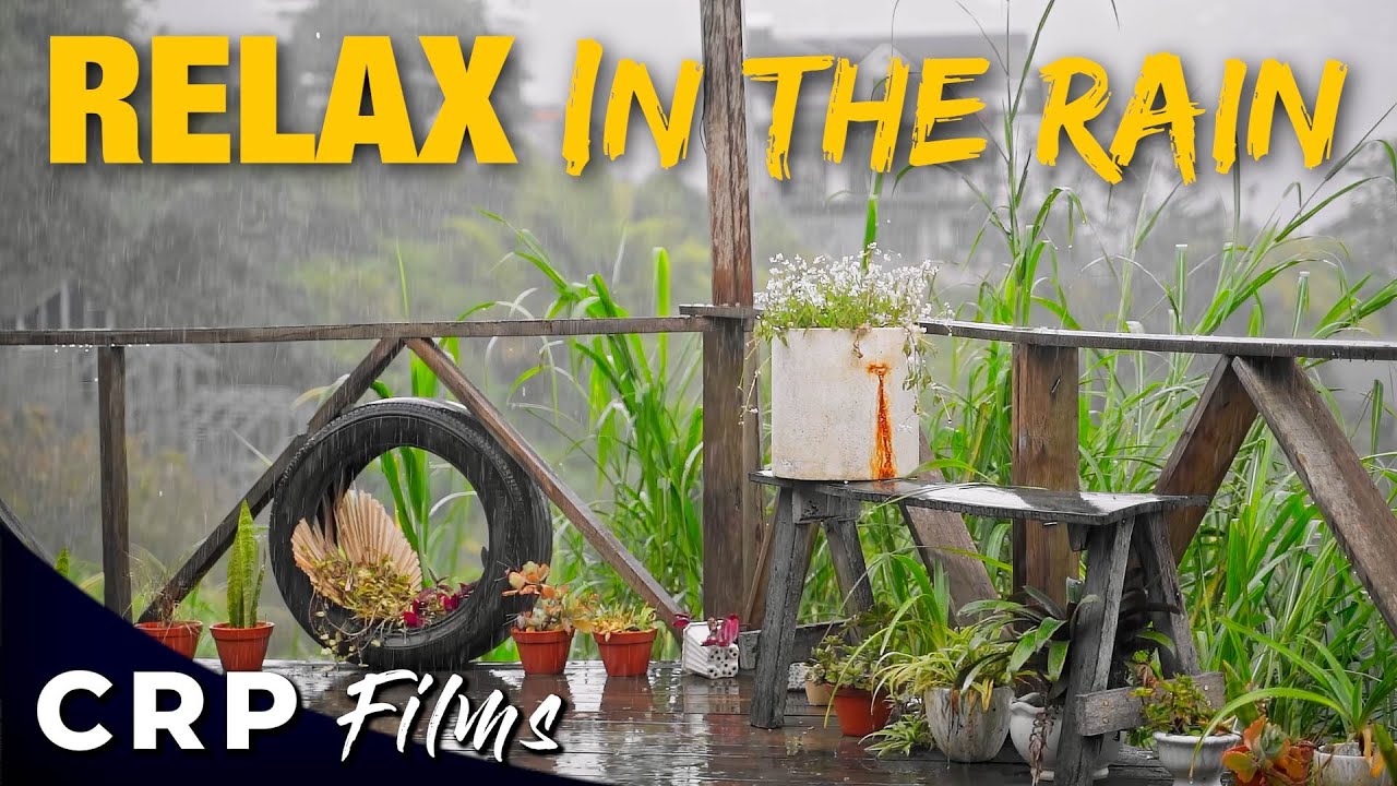 1 Hour Relaxing Rain Sounds 🌧️ | Deep Sleep, Stress Relief & Anxiety Therapy