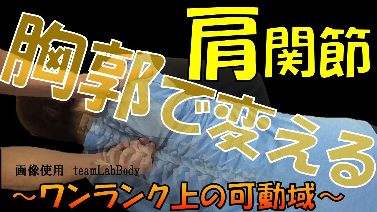 vol.380 胸郭で変える！変わる！肩関節可動域‼