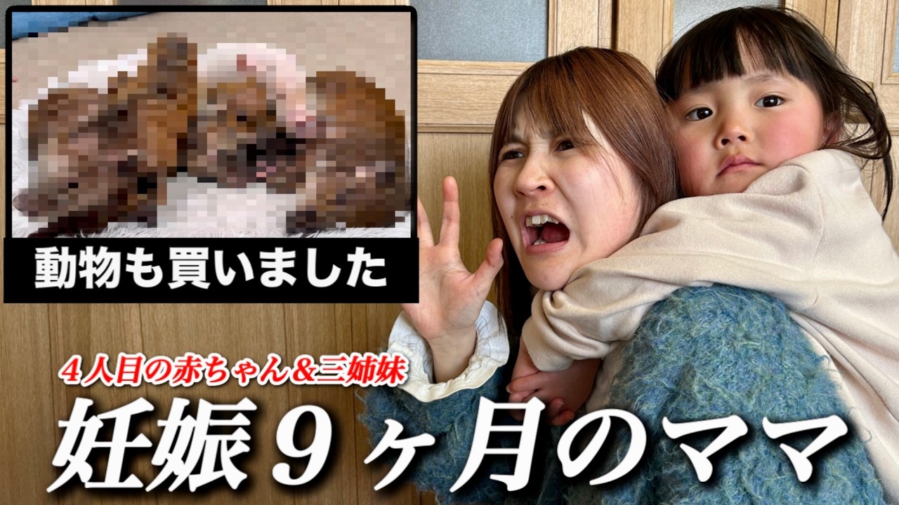 【妊娠９ヶ月】まもなく赤ちゃんが生まれる三姉妹！そんな三姉妹の平日ルーティンでママがバタバタする