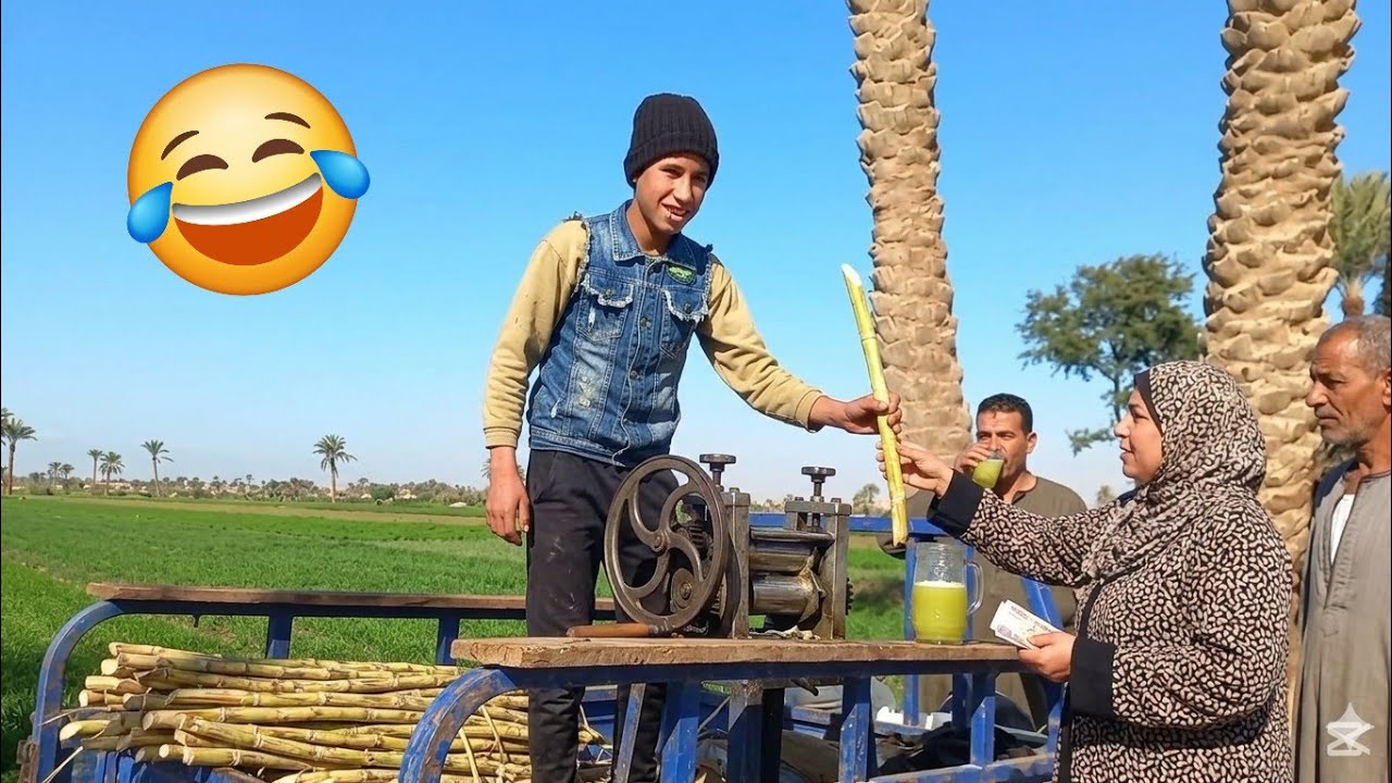 لما موه يسرق قصب. محمدجمعة 😂😂