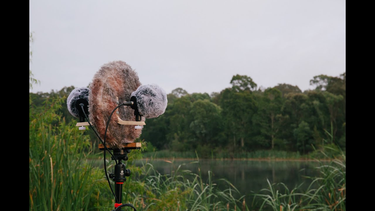 Field Recording (20251213) - Walka Water Works - Dawn Chorus