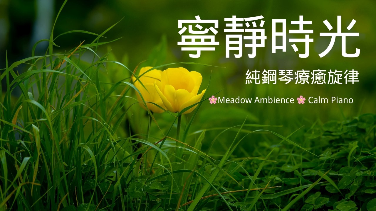 純鋼琴療癒旋律 + 春日花卉視覺 | 忘卻煩惱的寧靜時光  🌸  Gentle Pure Piano + Spring Nature Visuals | Tranquil Time to Let Go