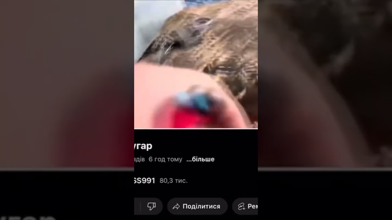 Напас после грибов угарает 😆 #napass991 #угар