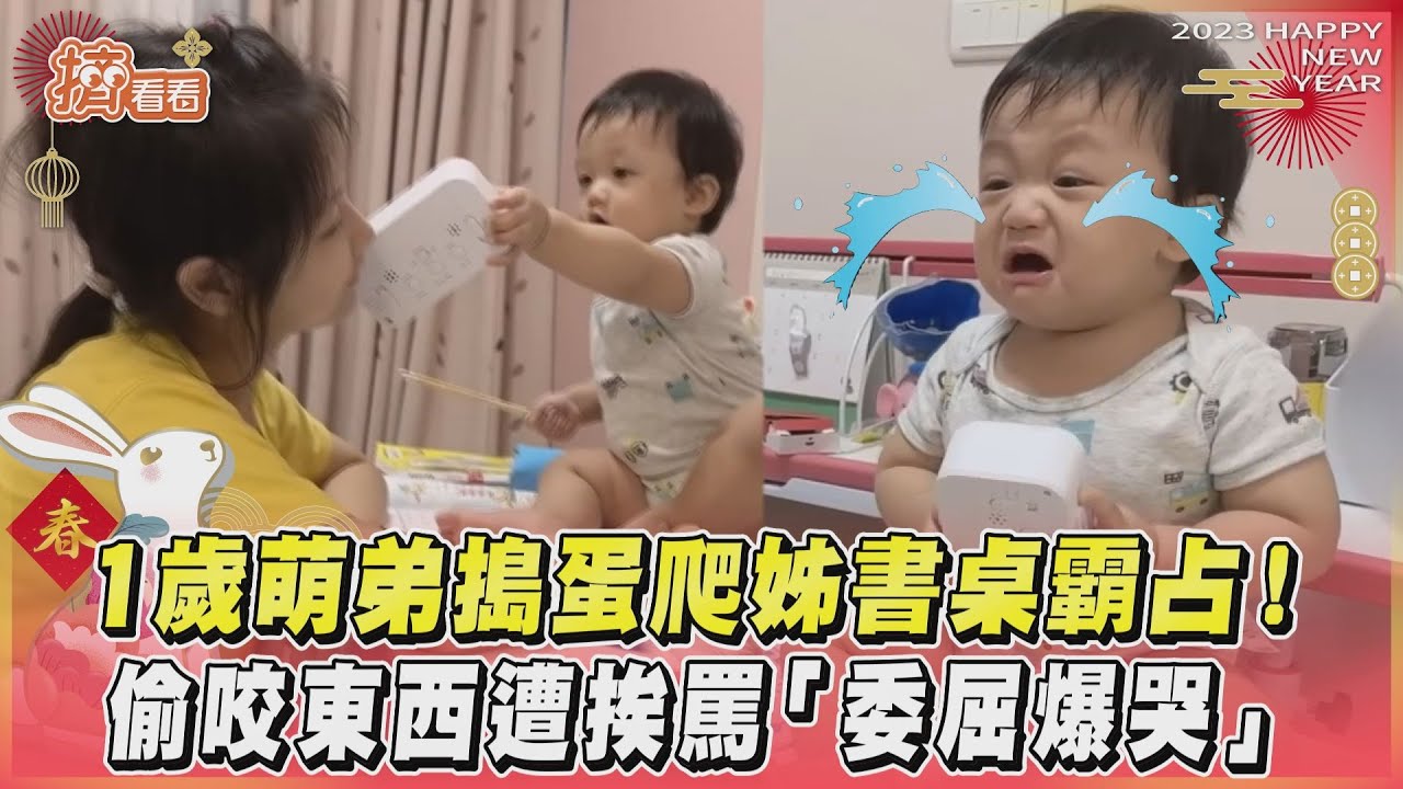 1歲萌弟搗蛋爬姊書桌霸占！偷咬東西遭挨罵「委屈爆哭」｜TVBS新聞｜擠看看
