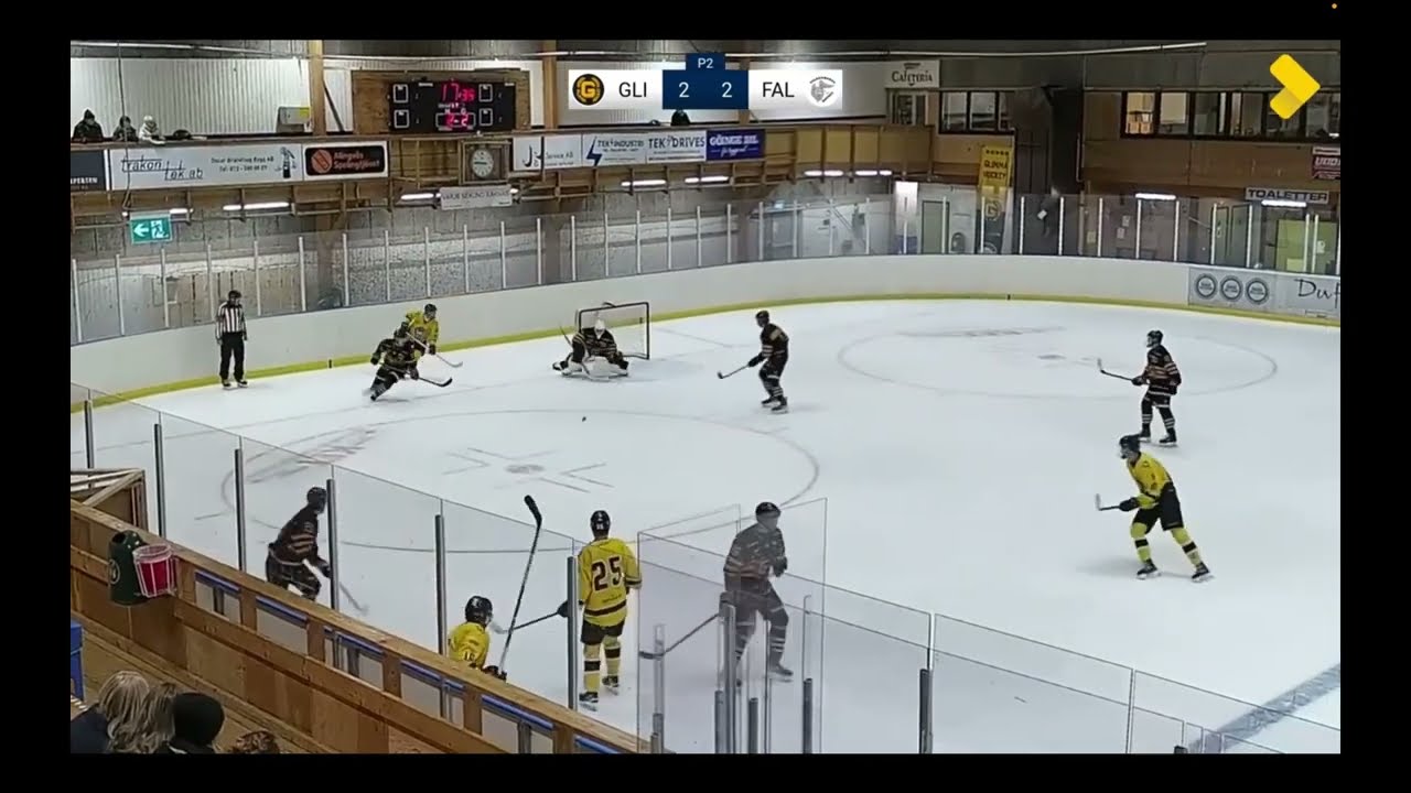 Jannik Ladinig | Game Highlights vs Falkenbergs IK | 06.02