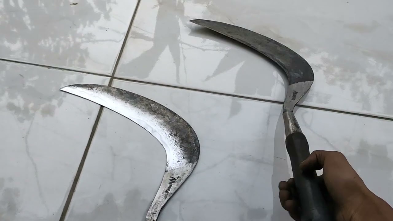 Perbedaan sabit silet dan biasa. Senjata super tukang ngarit.
