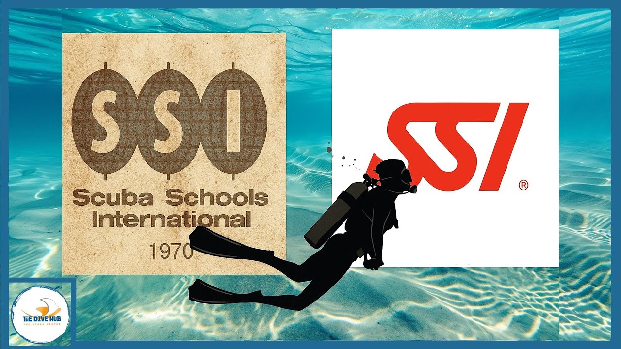 SSI  Story: From Underdog to Industry Powerhouse