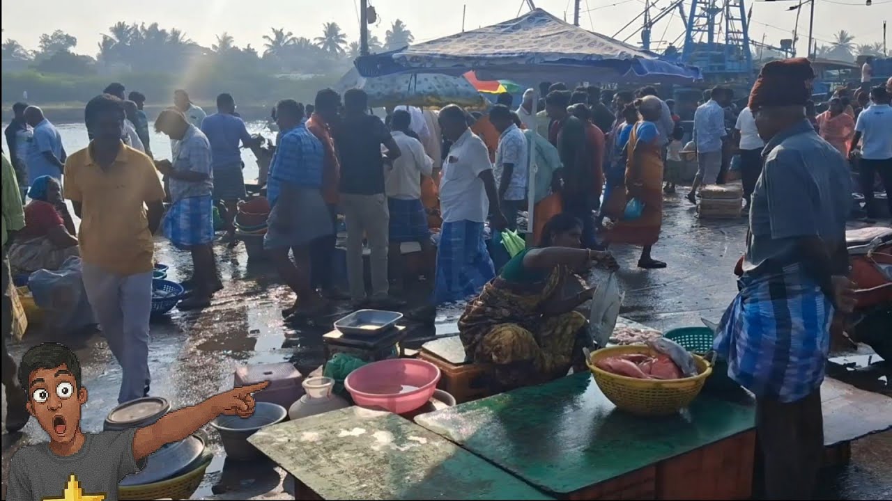 கடலூர் O.T | #cuddalore | fish market | cuddalore ot