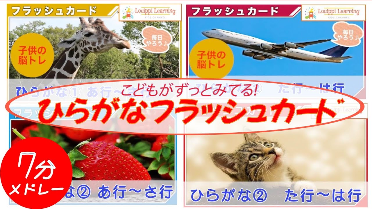 フラッシュカード ひらがな メドレー 1 あいうえお 赤ちゃんと 子供が喜ぶ 幼児向けフラッシュカード Japanese & English Flashcards for kids