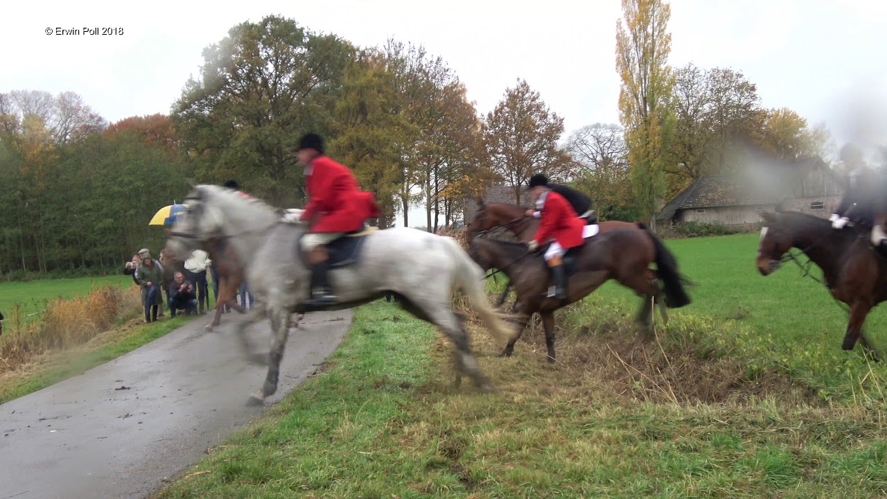 Slipjacht (Vossenjacht / Steelplechase / Fox Hunting / Drag Hunting) Highlights Vorden 10-11-2018