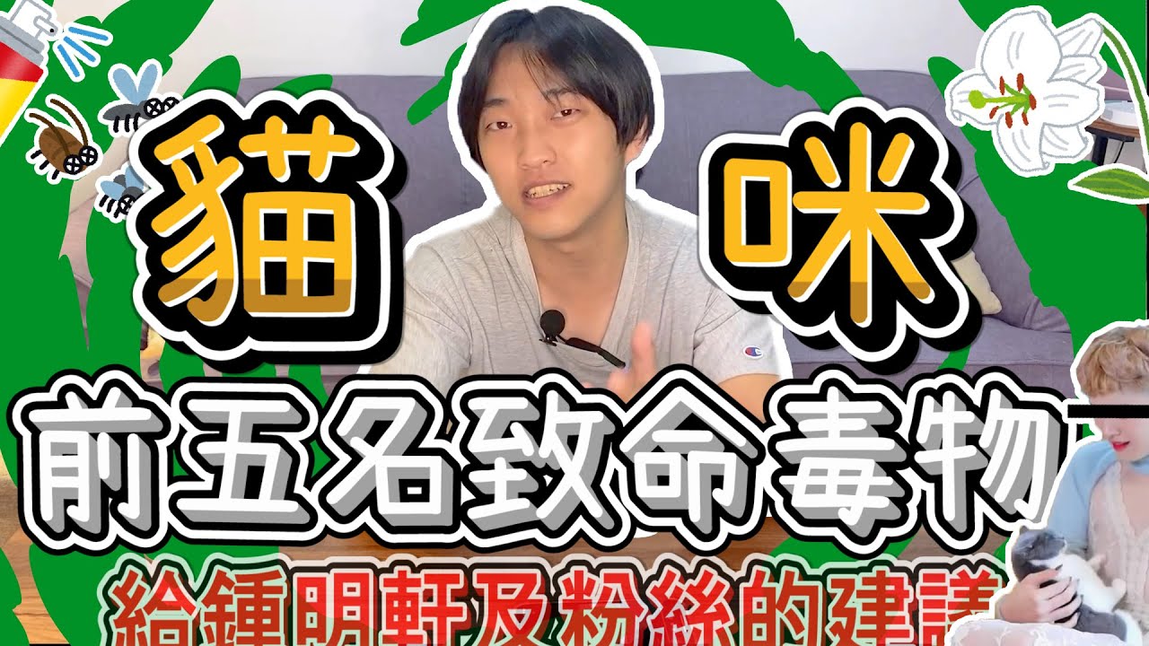 給鍾明軒的內心話。貓咪冷知識，小心家中前五名致命毒物！【貓咪冷知識EP.1】