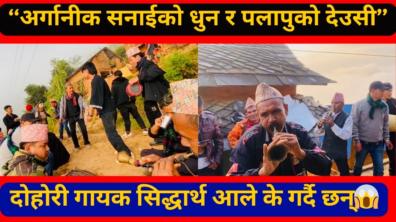 भाइरल दाइको गफ,सनाईको धुन र देउसि|पलापुमा देउसी खेल्दाको रमाईलो पल।palapu ko deusi|palapu|champadevi