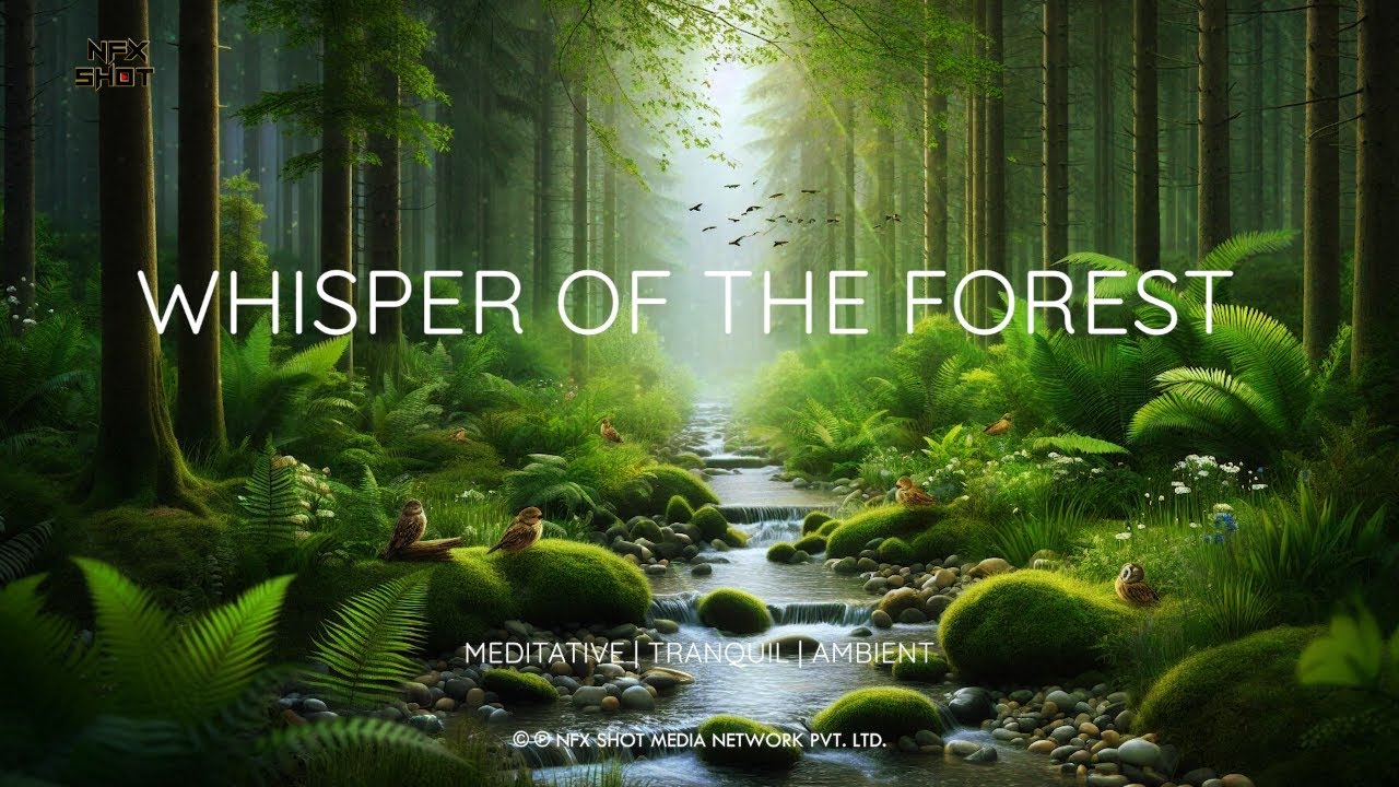 Whisper Of The Forest | Meditative | Tranquil | Ambient