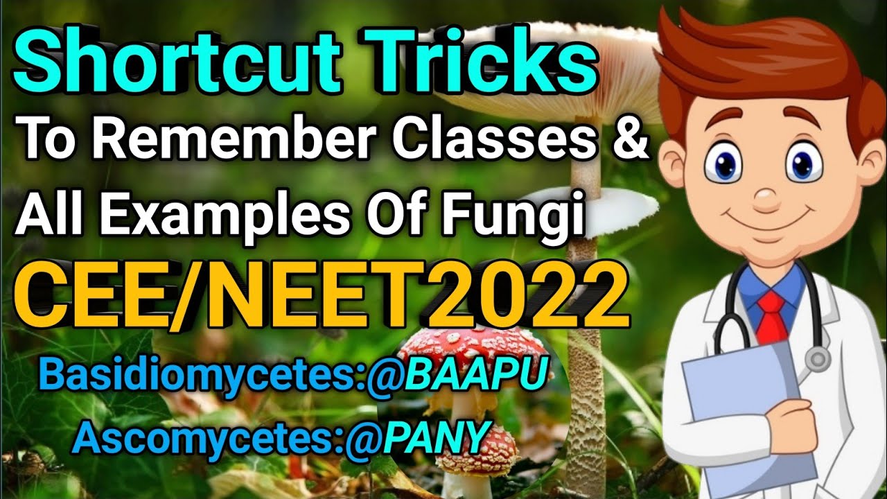 How To Remember Examples of Kingdom Fungi|Shortcut Tricks CEE/NEET(@makeiteasiersunil  )