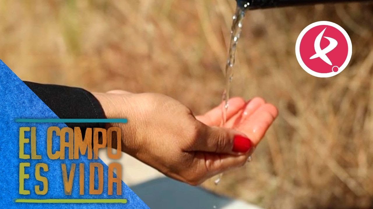 El lujo de tener una finca con agua durante todo el a&ntilde;o | El campo es vida