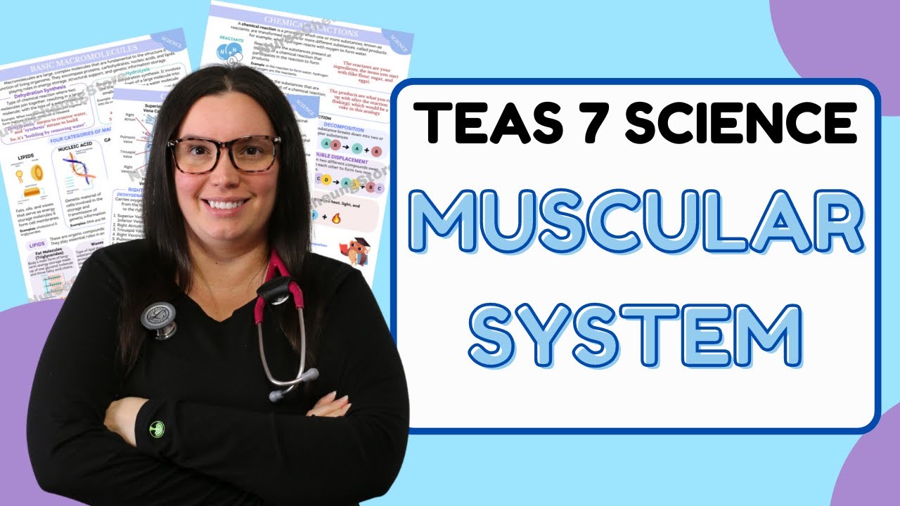 2025 ATI TEAS 7 Science Anatomy and Physiology Muscular System with Nurse Cheung