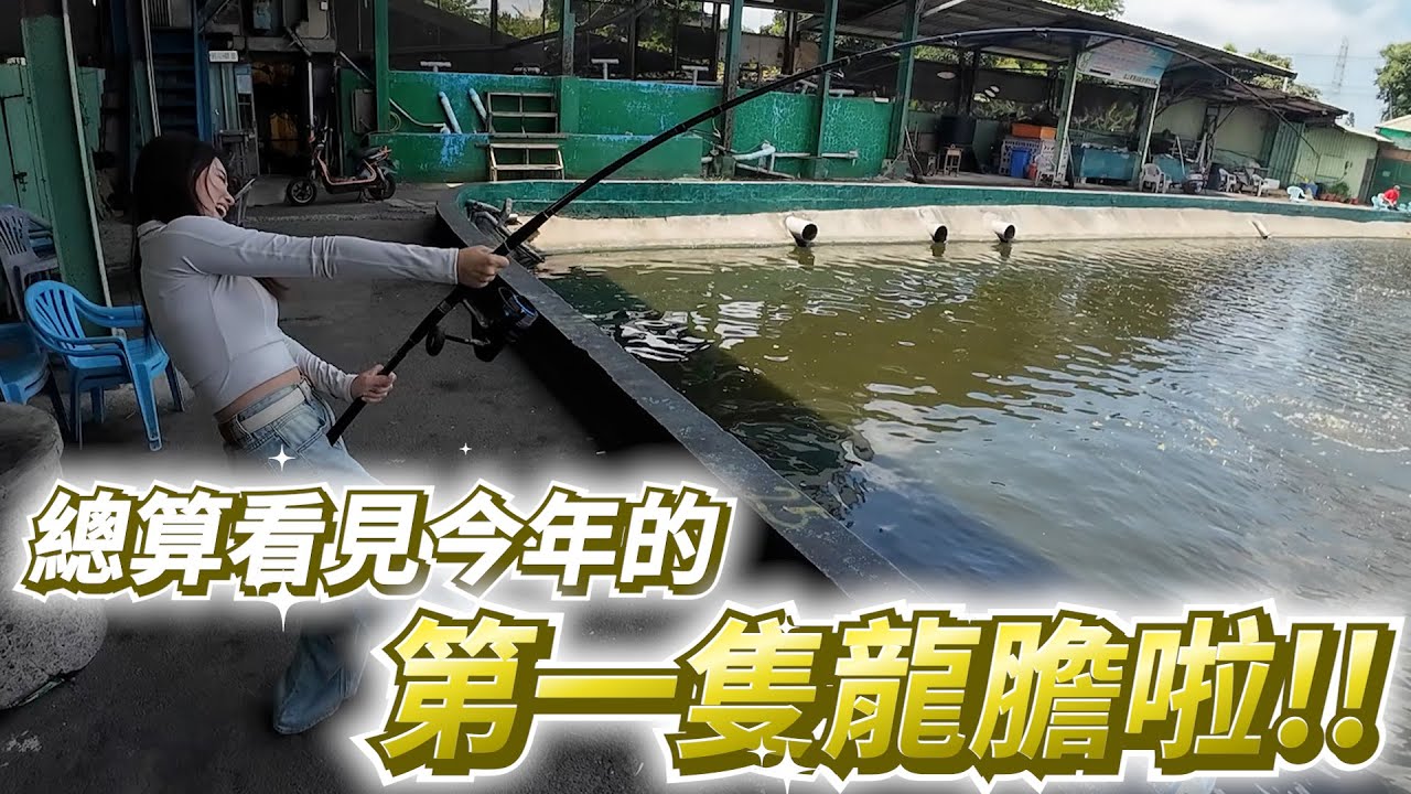 【亦起來釣魚】這次來到七武海挑戰~終於在今年釣到龍膽啦!!!