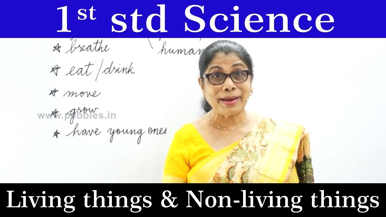 Science For Class 1 | 1st std Science | Living things & Non-living things