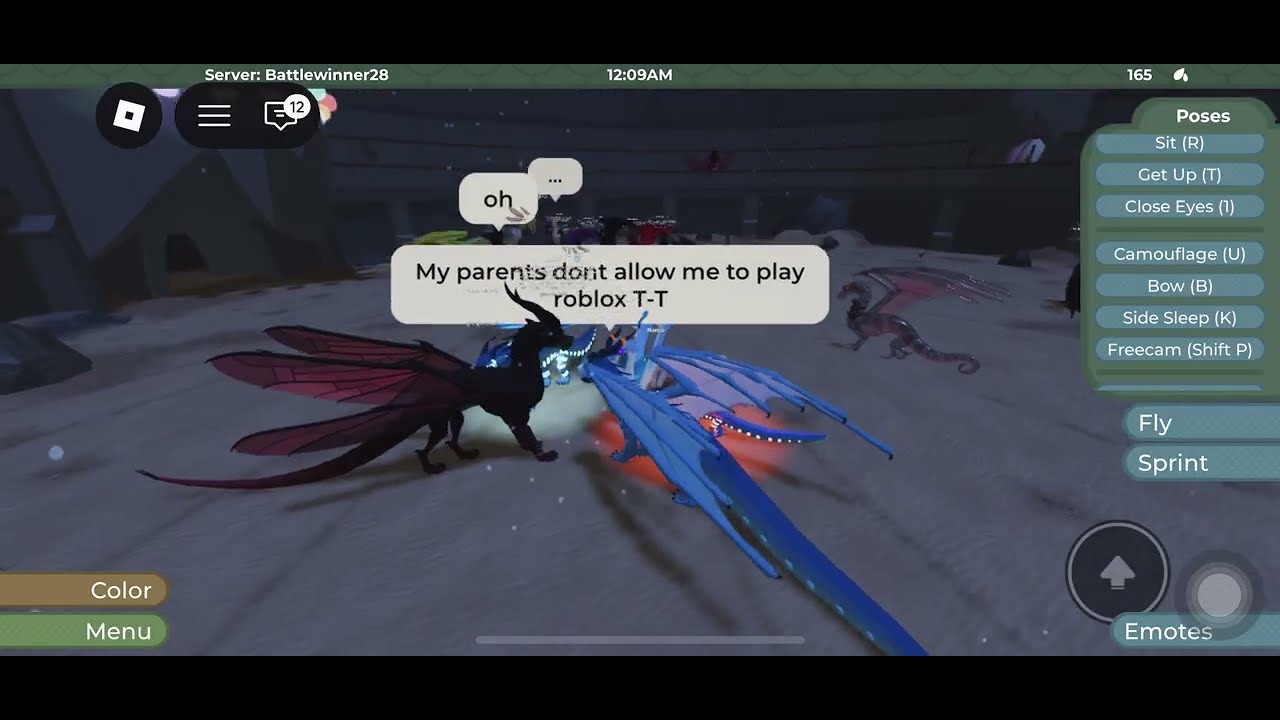 Asking ppl if they have ROBLOX in Wings of Fire 