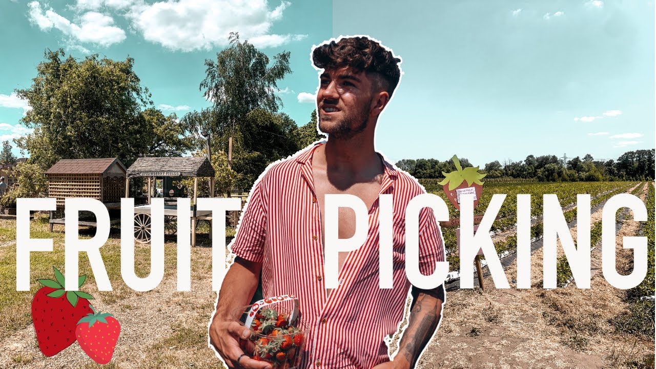 WE WENT STRAWBERRY PICKING | LONDON PICK YOUR OWN | SUMMER WEEKEND VLOG