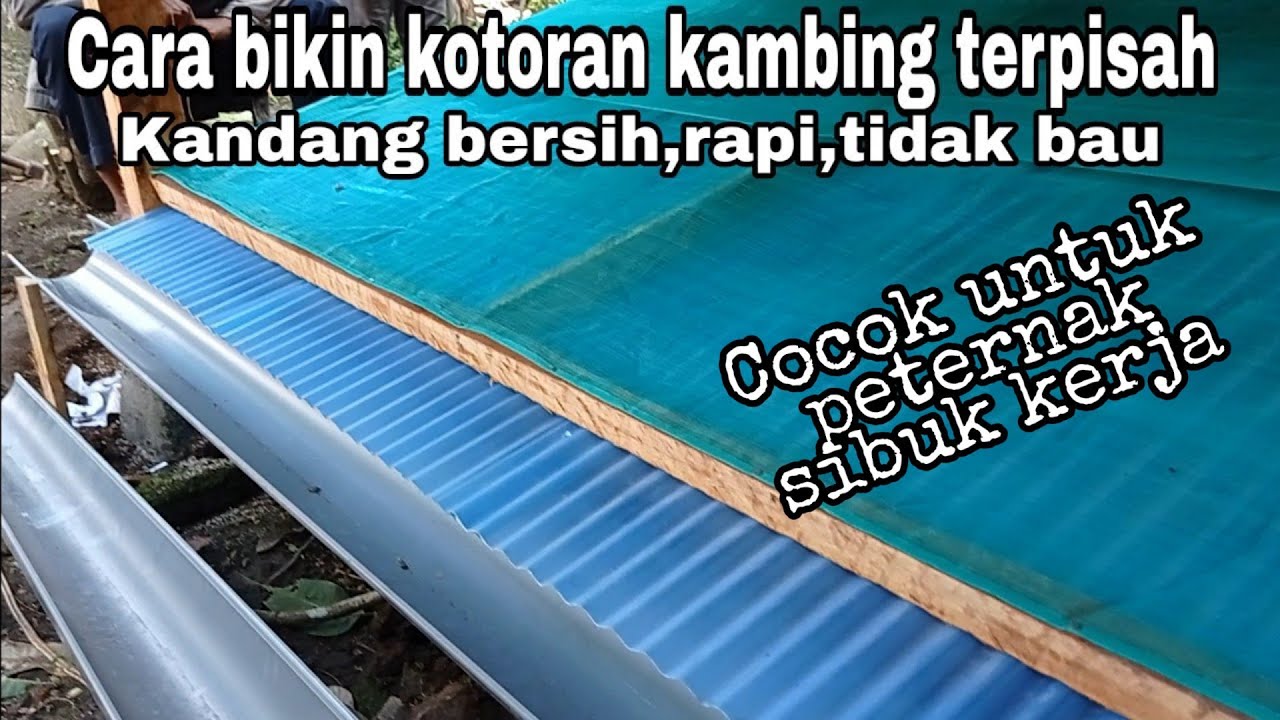 Cara mudah agar kotoran kambing terpisah,rapi,bersih,tidak bau