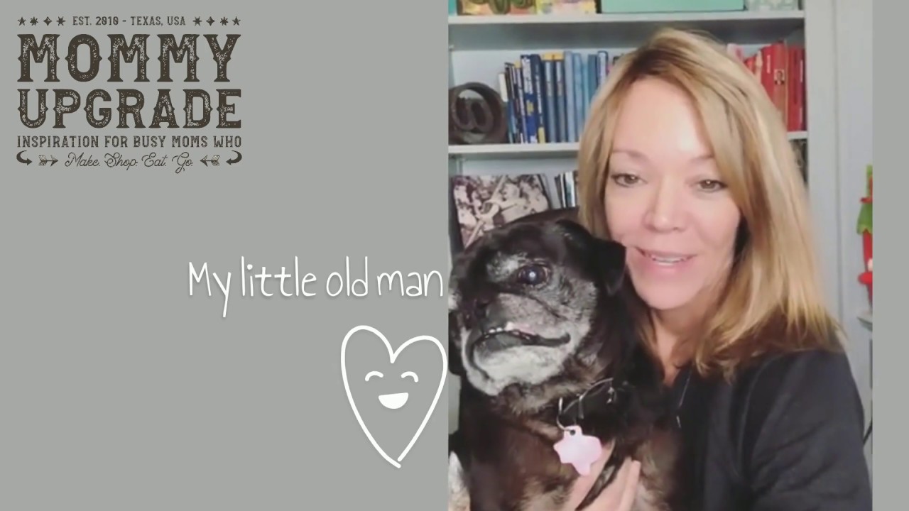 Pet Product Review: Make bath time fun!