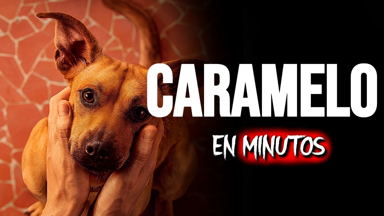 CARAMELO: EL PERRO M&aacute;s FIEL que HACHIKO (2025) RESUMEN EN MINUTOS