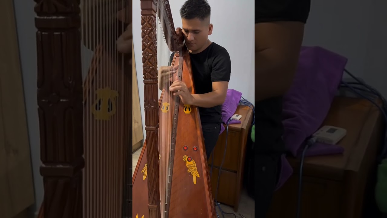 Cover: Gisela lavado(aparentaba ser bueno)