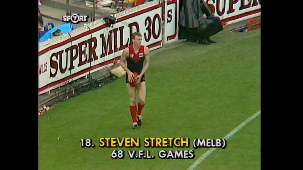 1988 VFL Grand Final - Hawthorn v Melbourne - MCG
