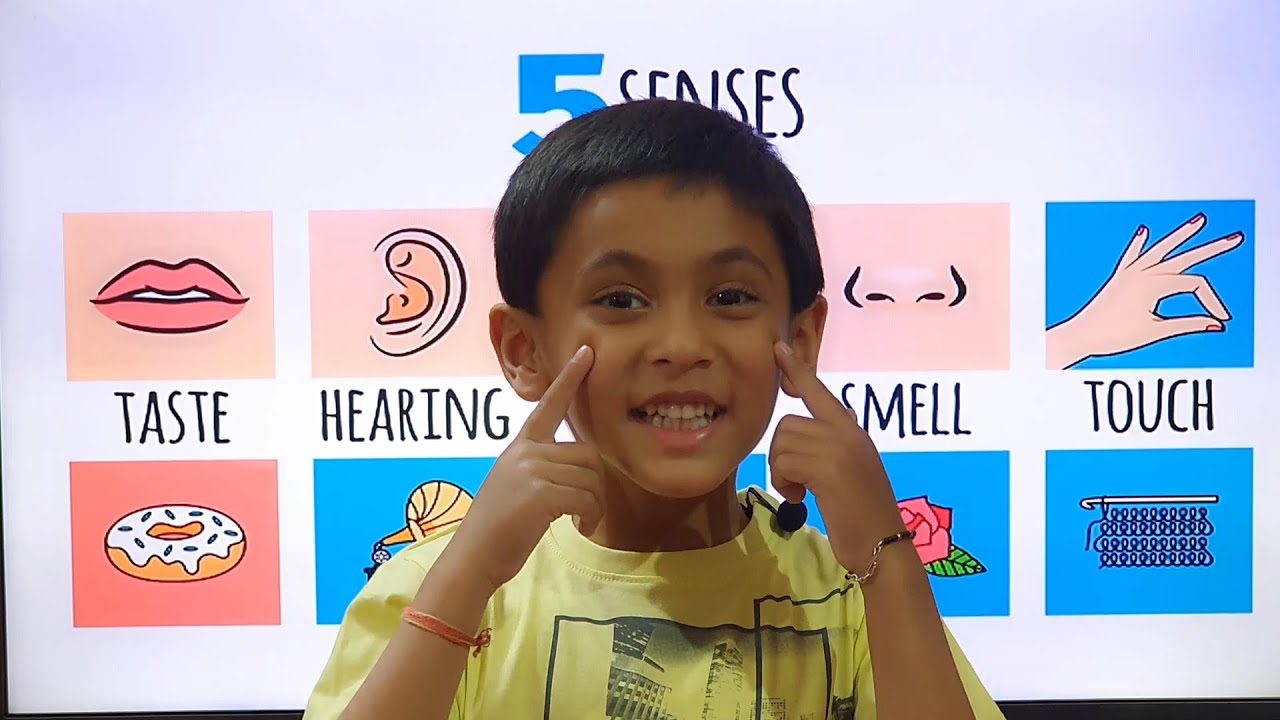 SENSE ORGANS FOR KIDS| EYES EARS NOSE TONGUE SKIN| EASY LEARNIG