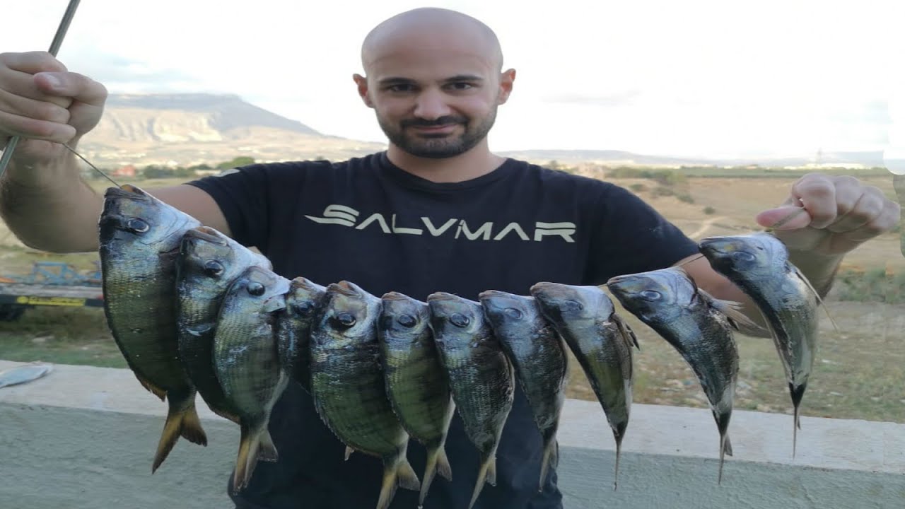 Pescasub: Una collana di saraghi con Seac Sub Asso 65!