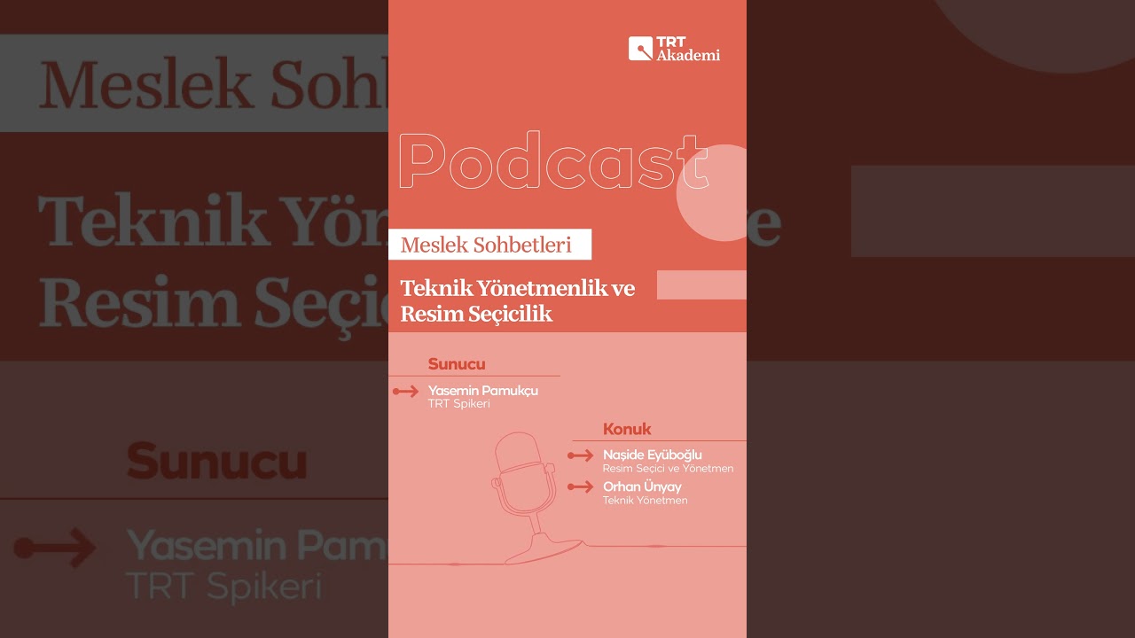 Teknik yönetmenlik ve resim seçicilik mesleği nedir?