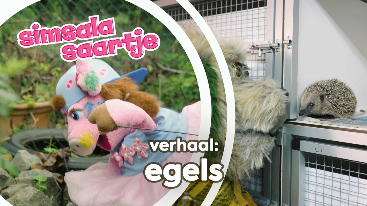 EGELS 🦔🦔🦔 | SIMSALA SAARTJE 🐽 | Educatieve Kleutertelevisie | Herfst