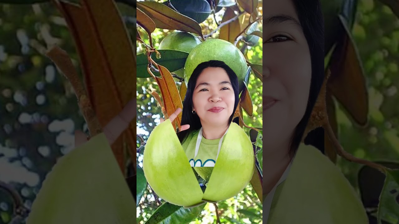 star apple #fruits #trendingshorts #shorts
