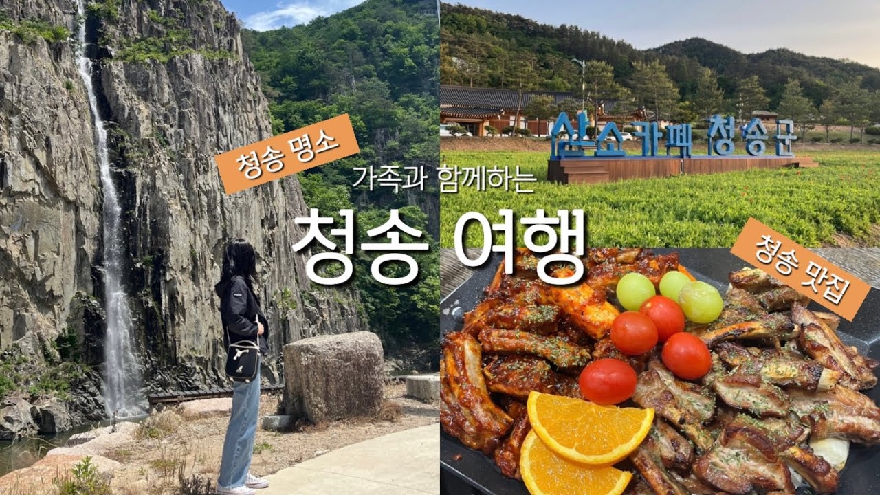 가족과 함께 떠난 청송 여행 🍎 | 소노벨, 주왕산, 주산지