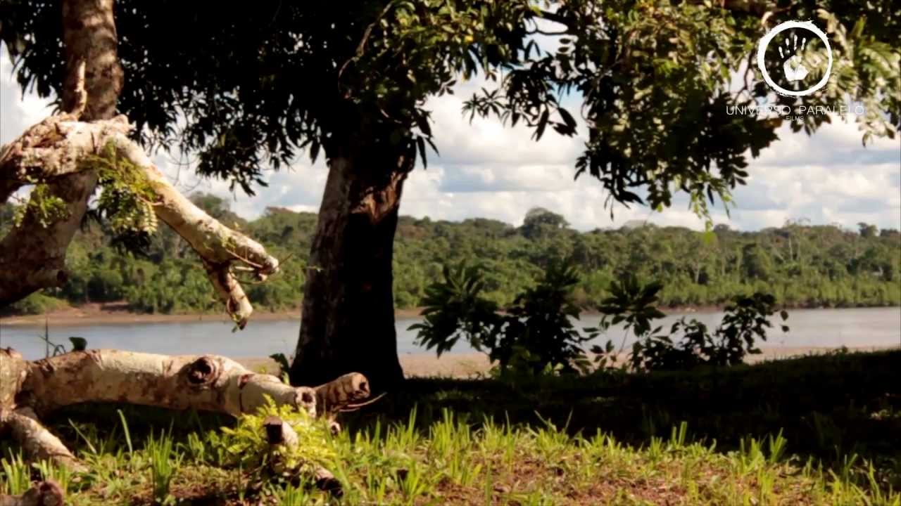 Documental - Sepahua 