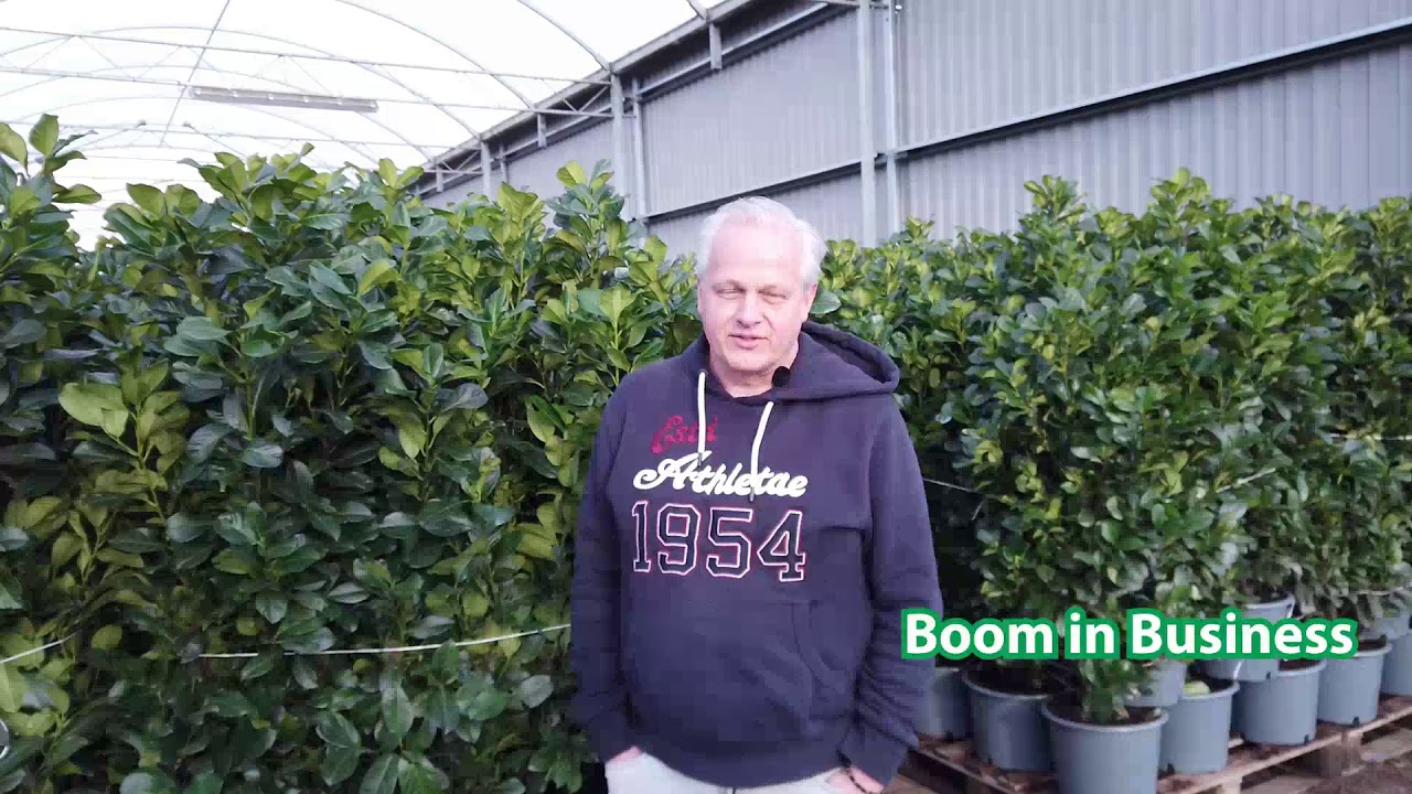 Roland Brand heet u welkom bij Leuveld boomkwekerijen
