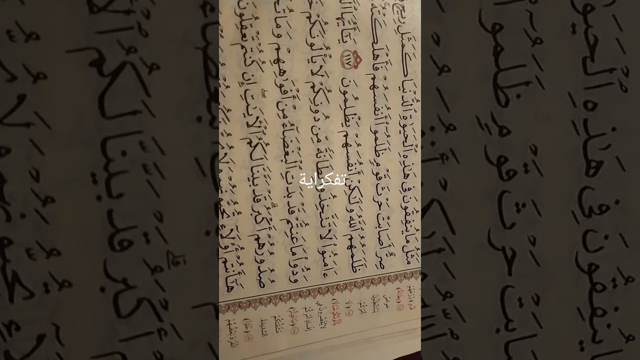 #شبابيك_هشام_مصباح #تفكراية