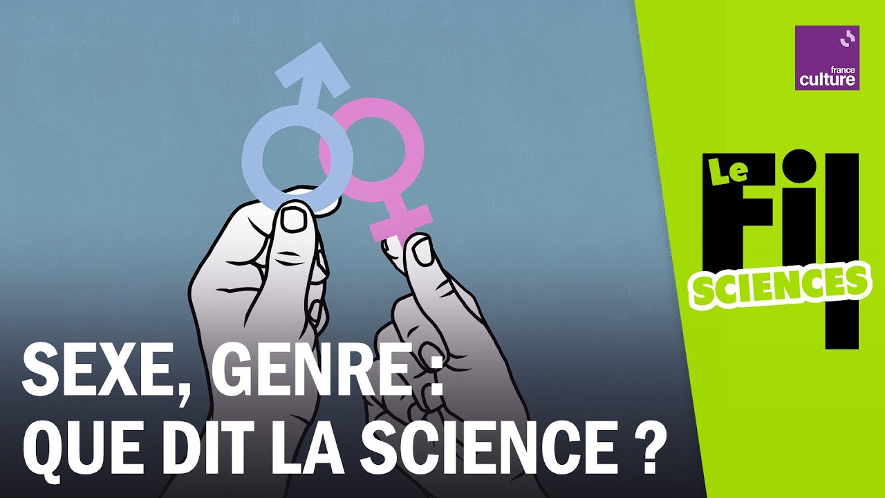 Sexe et genre, quand la science questionne nos certitudes