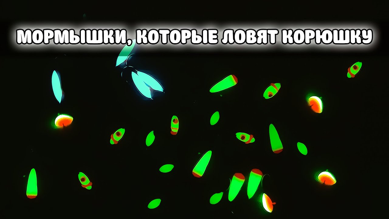 Лучшие УЛОВИСТЫЕ мормышки на КОРЮШКУ. Какие стоит купить и какие нет.