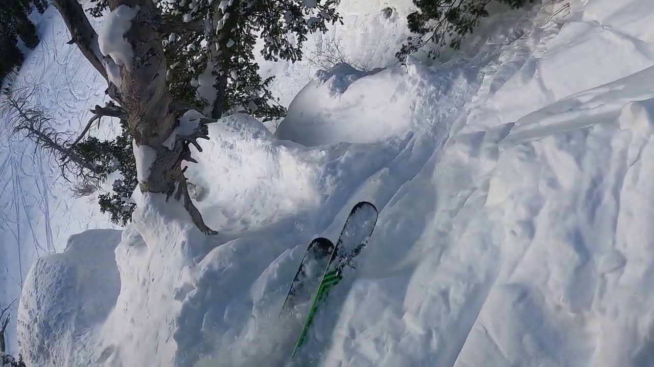 Snowbird UT 
