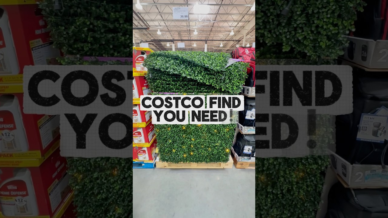 Costco Find! Boxwood Hedge Panel with Lights ✨ | Home & Outdoor Decor! 