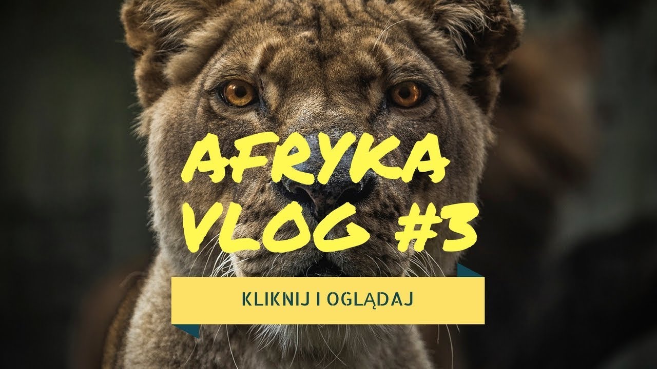 🇿🇦 AFRYKA VLOG #3 DZIEŃ TRZECI, Gabriel M