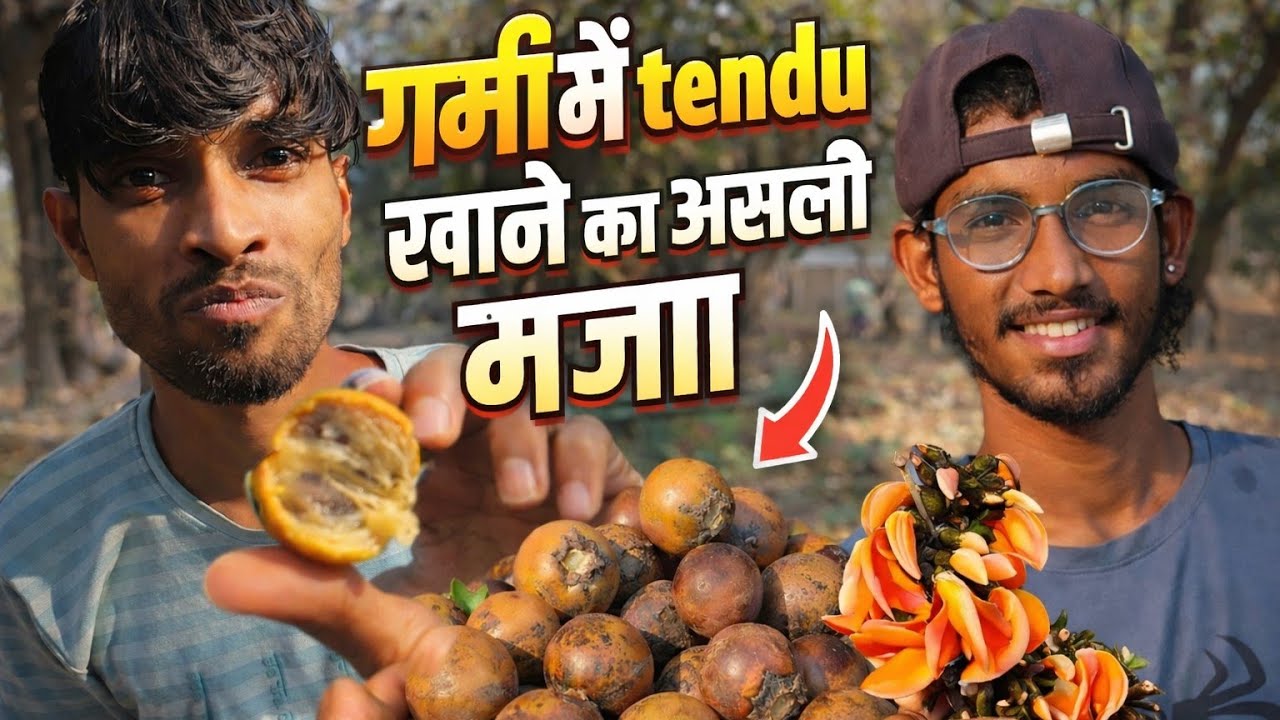 गर्मी में तेंदू खाने का असली मजा 😍 | CG Vlog | cg trevel vlog | village life 