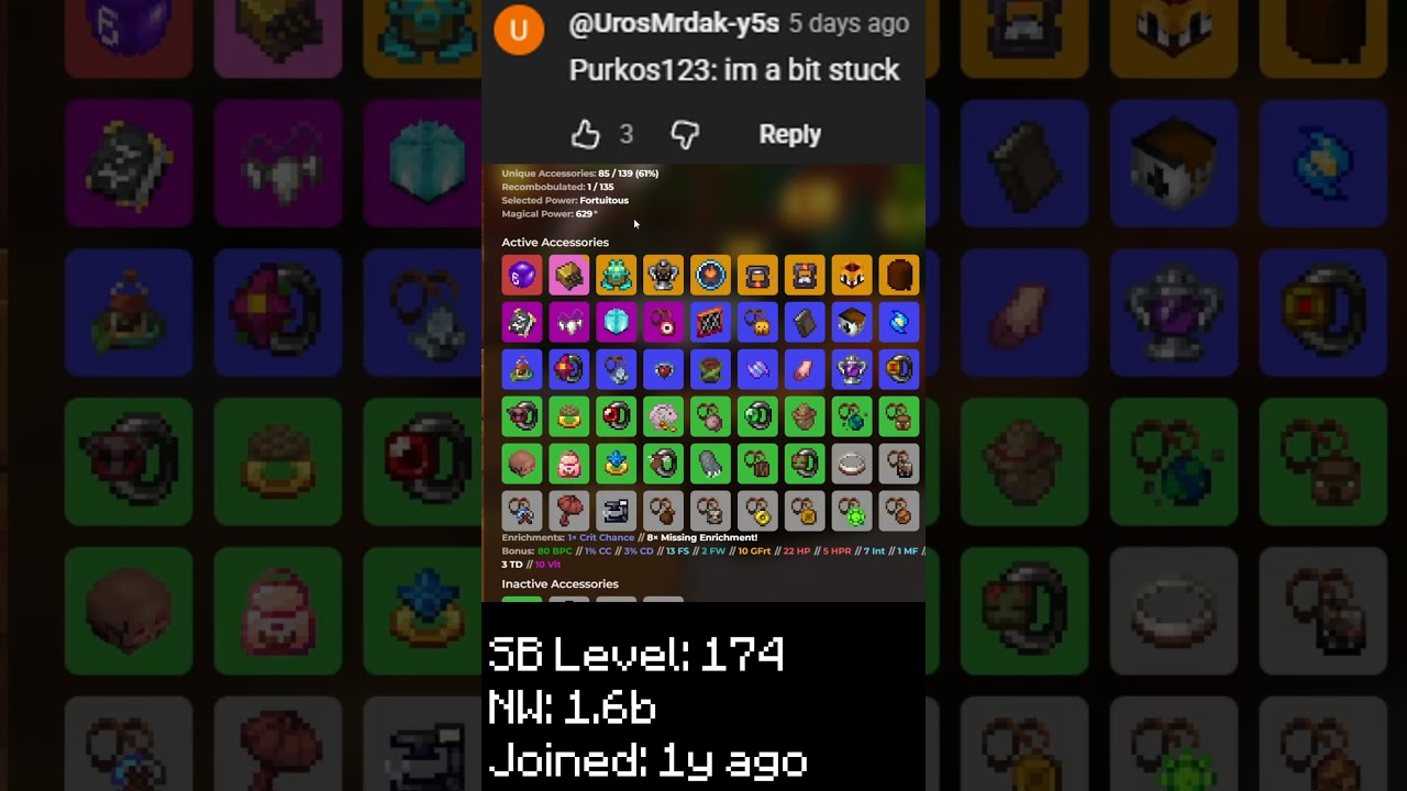 Твой профиль хороший? Или просто средний? #49 - Purkos123 #hypixelskyblock