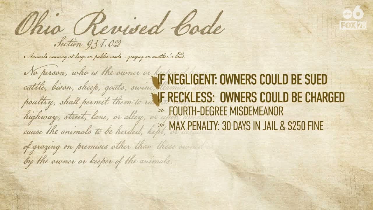 What does Ohio law say about death caused by livestock?