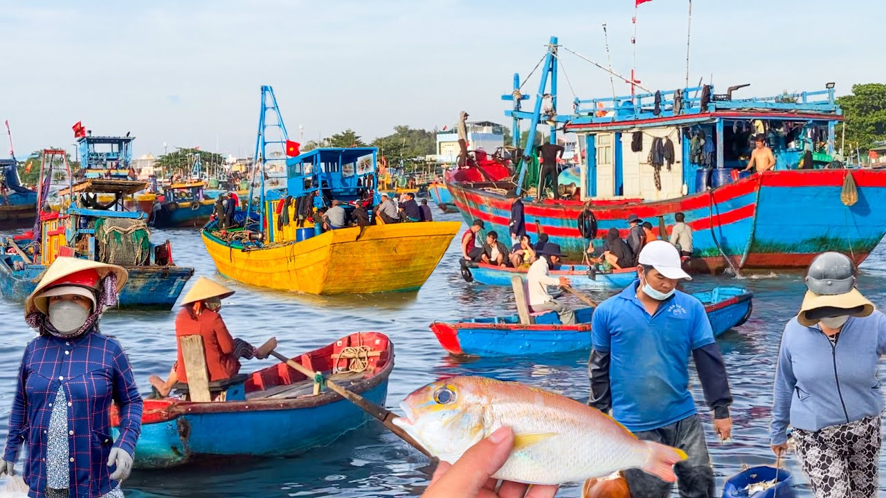 Bến Đò Sông Dinh Cửa Biển Lagi | Đặc Sản Chả Lụi Chợ Đại Đồng